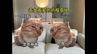 去女友家的里历程变化 ：你是怎样的？ #情侣 #猫咪表情包 #我眼中小猫的样子 #这猫有点上头 #情侣日常