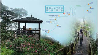 倒著走 嘉義隙頂【二延平步道】‧茶霧步道 佛手茶園