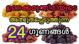 24 benefits of Raisins/ ഉണക്കമുന്തിരി കഴിക്കുന്നത് കൊണ്ടുള്ള ഗുണങ്ങള്‍.. ഇതുവരെ അറിയാതെ പോയല്ലൊ