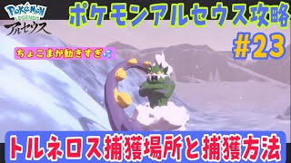 【Pokémon LEGENDS アルセウス攻略#23】トルネロス捕獲場所と捕獲方法【クリア後編】