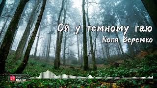 Коля Веремко - Ой там, у темному гаю (Official Audio)