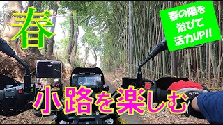 Vストローム250【50代のcoffee break】春の小路をトコトコ走ります。好きで活力をアップさせましょう♬【50代 転職 起業 定年 リストラ 早期退職制度】