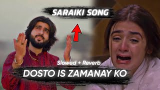 Dosto Is Zamany Ko Kia Hogaya (Slowed + Reverb) | Saraiki Slowed Song | TQ Studios