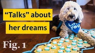 Is Bunny the “talking" dog legit? Here’s what science says