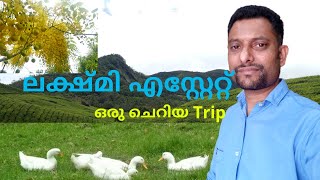 Lakshmi estate Munnar | Kannan Devan tea estate | Golden Cypress Media