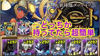 ムート降臨絶壊滅級　ベイダー×真人で超簡単攻略【パズドラ】