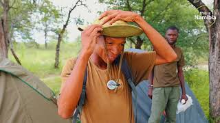 Pangolin Conservation In Namibia