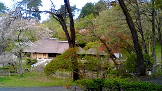 みちのく民俗村ライブ 2024.04.22 09:23