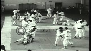 The Chicago team wins the 4th National Judo Championship at Seattle University in...HD Stock Footage