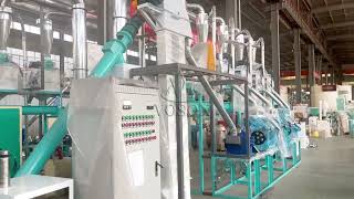 15T Maize flour mill plant#flour_mill #flourmillmachine #maizemill