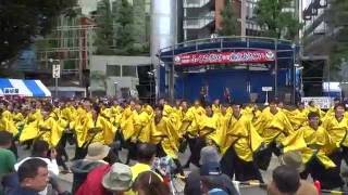 東京農業大学YOSAKOIソーラン同好会 “百笑”／池袋駅西口公園会場／第17回東京よさこい2016（本祭）