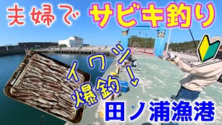 【サビキ釣り】和歌山【田ノ浦漁港】夫婦でイワシ爆釣サビキ釣り♡隣の釣り人さんにドラマがおこる!?