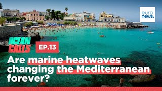 Are marine heatwaves changing the Mediterranean forever? | Ocean Calls Podcast EP13