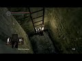 dark souls walkthrough part 5 darkroot basin u0026 havel knight