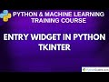 Creating Input Fields With Tkinter - Python Tkinter GUI Tutorial