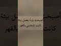 صوࢪ تطقـيم حب عبـارات