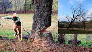 Eliminating a MASSIVE Poison Ivy Tree