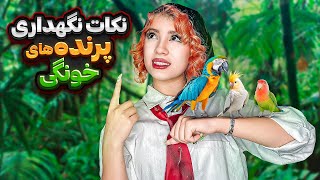 ❌بایدها و نبایدهای پرنده‌های خونگی❌ | به سوالای شما درباره پرنده‌هاتون جواب دادم🦜