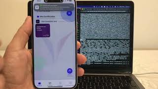 Veris Protocol - Functional MVP Software Walkthrough