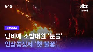 [밀착카메라] 단비에 소방대원 '눈물'…인삼농장서 '첫 불꽃' / JTBC 뉴스룸