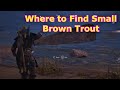 Assassin's Creed Valhalla - Where to Find Small Brown Trout - The Wroeken Offering