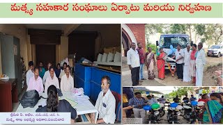 మత్స్య సహకార సంఘాలు ఏర్పాటు మరియు నిర్వహణ || శ్రీమతి పి. అఖిల, యమ్.యఫ్. యస్. సి.