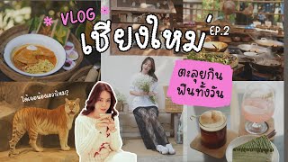 VLOG เชียงใหม่ EP.2 | นั่งคาเฟ่ เดินหาของอร่อย แล้วไปไนท์ซาฟารีตอนกลางวันกัน |เดินทางด้วยรถไฟฟ้า 🚗🎄