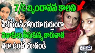 Reasons Behind Sonia Agarwal Clash with her Husband | 7/G Brundavan Colony Heroine Life Secret