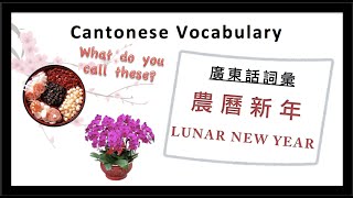 Cantonese Lesson | Lunar New Year Vocabulary (農曆新年詞彙)