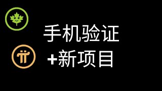 Pi Network怎样验证手机号？新Pi先锋必学知识；不可错过的新项目来了！