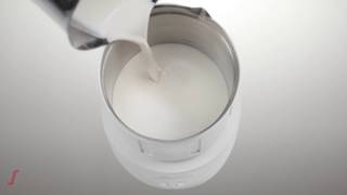 מקציף חלב חם/ קר סגפרדו | Milk Foamer Segafredo