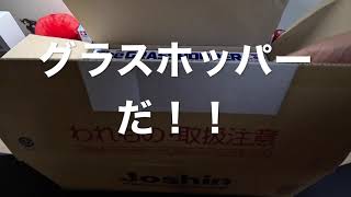 ②年男４８歳、初めてラジコンカーを作る！＃タミヤラジコン＃グラスホッパー＃380モーター