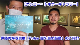 【ケンコー・トキナーギャラリー】伊藤秀海写真展「Pulse 屋久島の鼓動」のご紹介（動画No.1342）