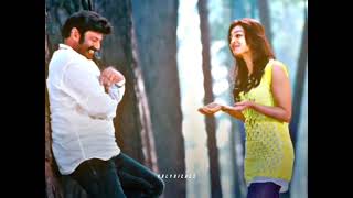 NE KANTI CHOOPULOKI | LEGEND |BALAKRISHNA,RADHIKA | HD EFX WHATS APP STATUS.