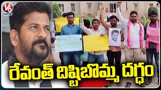 OU TRSV Tribal Students Protest Against Revanth Comments | V6 News