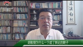 胡鞍钢为什么一下成了舆论的靶子（《北木观察》第241期 20180814）