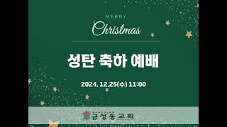 금성동교회 241225 성탄축하예배 실황(시간 바를 조절해 주세요)