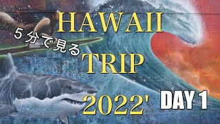 ５分で見るハワイ旅行2022' DAY1