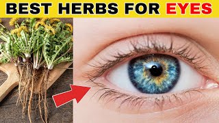 7 Herbs That Protect Eyes and Repair Vision Naturally (Best Herbs For Eye Health)
