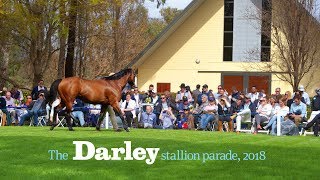 The 2018 Darley stallion parades at New South Wales and Victoria studs