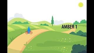 Porte-Vélo AMBER 1 EUFAB - Clip