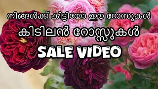 നിങ്ങൾക്ക് കിട്ടിയോ ഈ റോസുകൾ #rose #rosenursery #flowergardening #sale #gardening #flowers #kerala