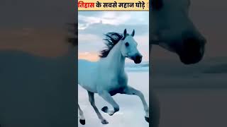 भारत के इतिहास के तीन ऐसे जहाज घोड़े करने के बाद भी अमर होता है  #shorts #videos #facts #kaa #karn