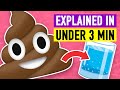 How Does Wastewater Treatment Work?
