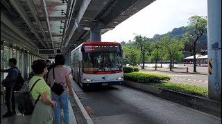 中興巴士 933線 510-FZ 全程行車片段(捷運動物園站至仙公廟)