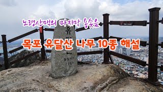 한국의 나무 - 12월 목포 유달산의 나무 10종류 해설