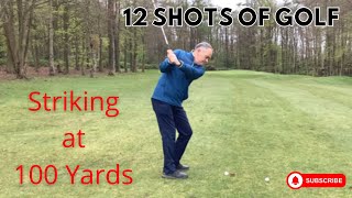 12 Shots of Golf - Striking the Ball from 100 yards