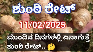 ಮುಂದಿನ ದಿನಗಳಲ್ಲಿ ಶುಂಠಿ ಎಲ್ಲಿಗೆ ಹೋಗಿ ತಲುಪುತ್ತದೆ.. 🤔/ginger price today