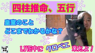 占い（五行＆四柱推命その他）でどこまで皇室の事が分かるのかのお話