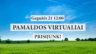 Vieno išgydymo istorija | Valius Eičinas